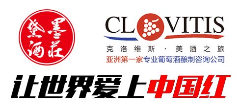 当代咨询视角下，成功红集团如何借助企业管理咨询实现转型升级