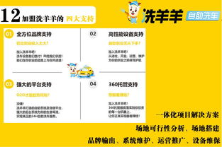 洗羊羊24小时自助洗车 智能时代下的投资新机遇与企业管理升级